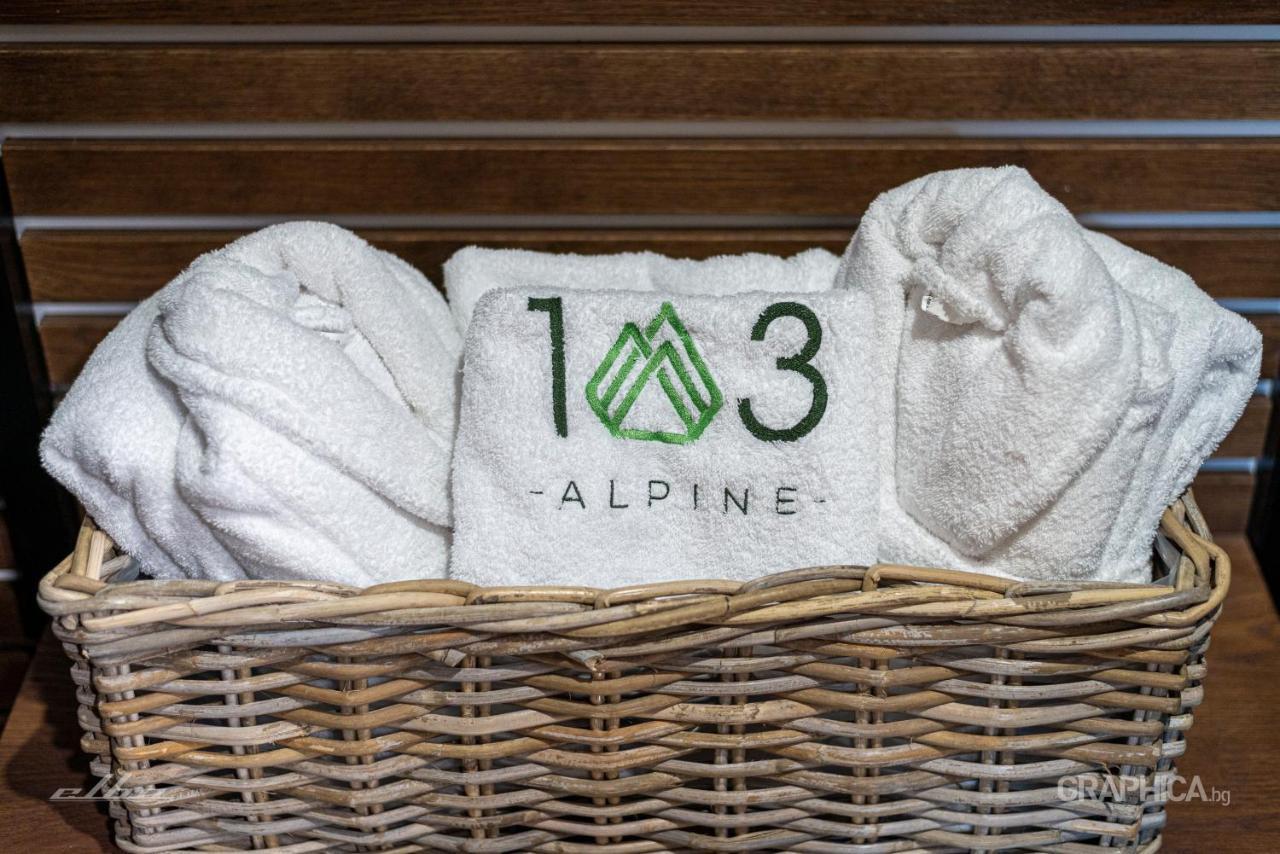 103 Alpine Hotel Panichishte Exterior foto
